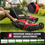Charger l’image dans la visionneuse de la galerie, 21" Gas Lawn Mower, 144cc OHV Engine, 3-in-1 Push Mower with Bagging, Mulching & Side Discharge