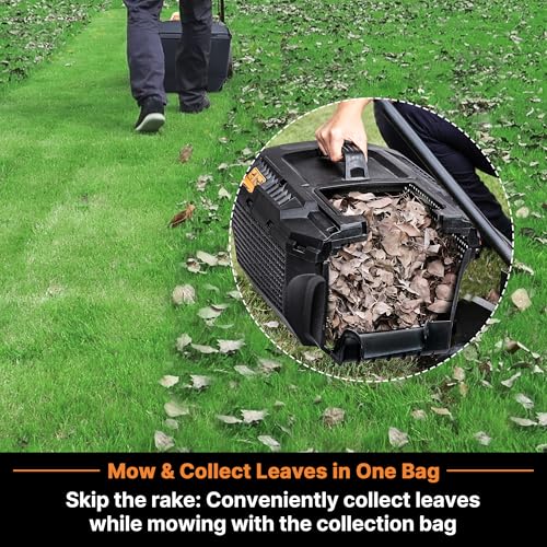 15" Electric Corded Lawn Mower, 11AMP Push Mower, Lightweight & Efficient for Small Lawns